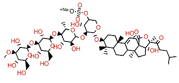 Scabraside B